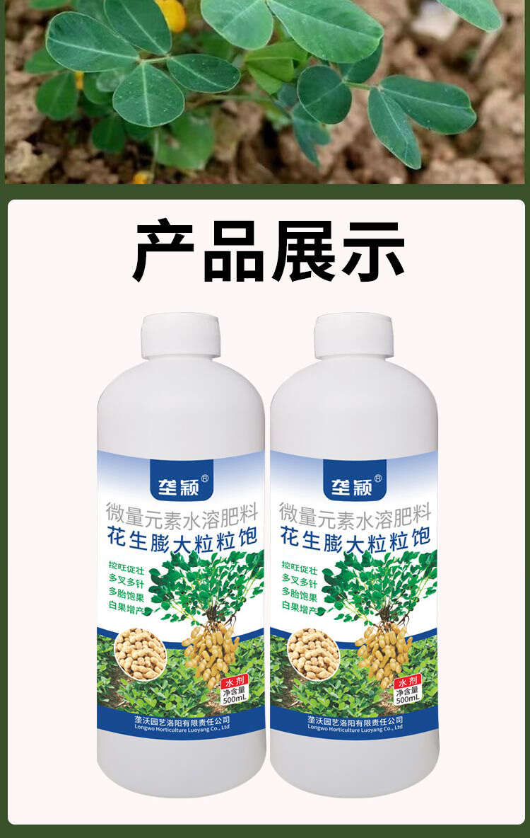 花生饱满粒粒饱膨大控旺分叉多下针多胎花生结果多白果保果高产肥