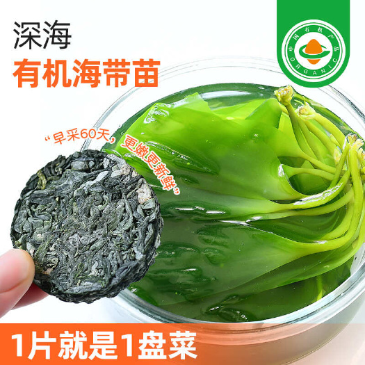包邮~福建霞浦有机海带嫩苗，真空压缩干海带嫩苗非盐渍
