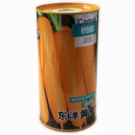 东洋黄参黄胡萝卜种子 齐头黄参种籽 大田春秋高产抗病