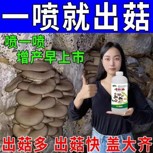 栾川县蘑菇营养液香菇专用肥菌菇营养液增产抗病平菇羊肚菌蘑菇水溶肥料