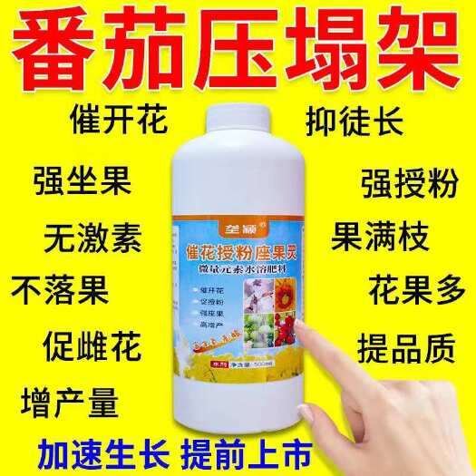 栾川县西红柿授粉座果灵点花药强效授粉防落果催花座果番茄授粉专用