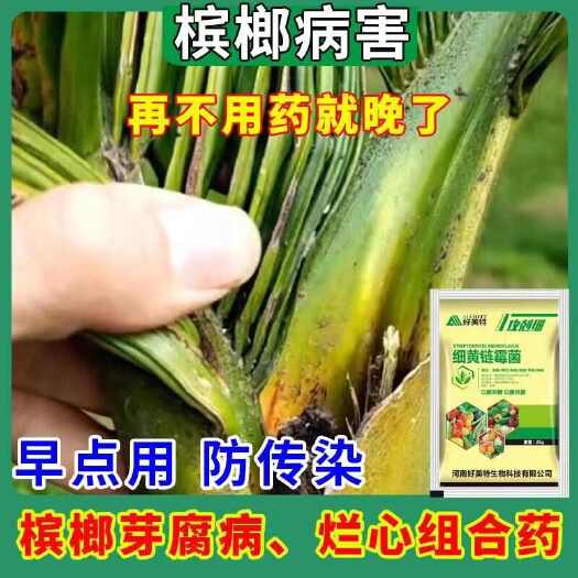 栾川县槟榔芽腐病药槟榔烂心病炭疽病黄化黄龙黄叶病茎基腐病专用