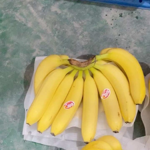 上海口感软糯香甜颜色金黄无华皮无硬心无黑心保质保量全国发货