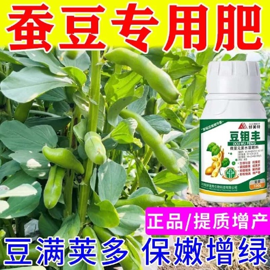 栾川县蚕豆专用叶面肥籽粒饱满保花荚蚕豆粒粒饱大豆膨大素增产肥通用型