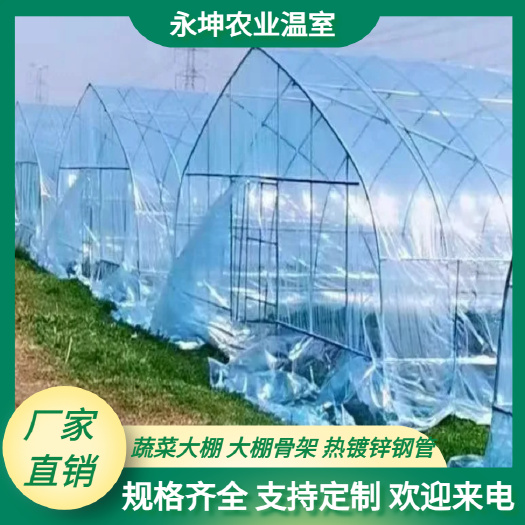 钢管大棚 蔬菜大棚养殖大棚8*25  6*25果蔬专用大棚