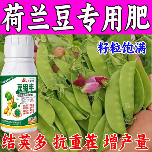 栾川县荷兰豆专用肥籽粒饱满豆满藤叶面肥豌豆增产保花保果豆类专用肥料