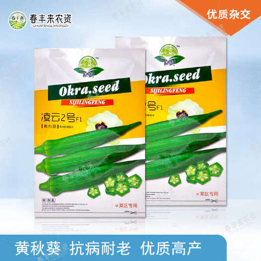 临沂凌云2号秋葵种子黄秋葵羊角豆咖啡黄葵毛茄黄蜀葵