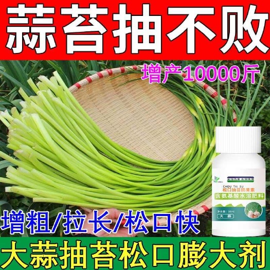 栾川县大蒜早抽苔蒜苔松口剂蒜头快速膨大强力增产肥产量高大蒜抽苔剂