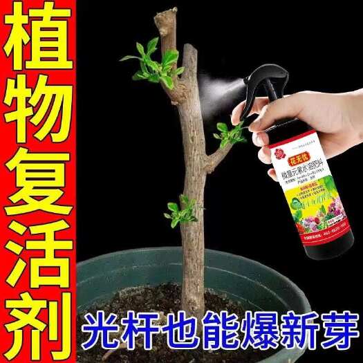 栾川县营养液专用养花液体催花促花僵苗快速发新芽防黄叶发芽剂催芽通用