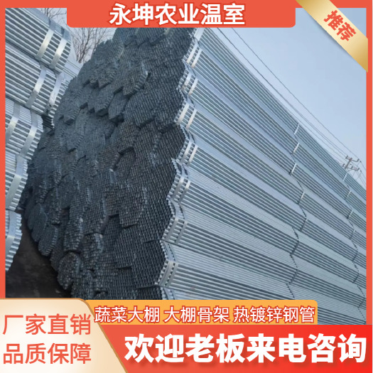 天津大棚管 冷棚 椭圆管大棚 种植大棚 蔬菜大棚 日光暖棚
