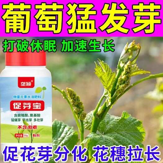 栾川县葡萄专用破眠剂催芽剂爆芽王花芽分化药打破休眠早出芽葡萄拉穗剂