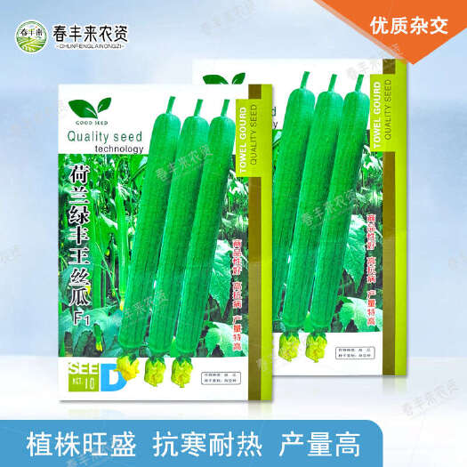 荷兰绿丰王丝瓜种子高产抗寒耐热长香丝瓜种籽