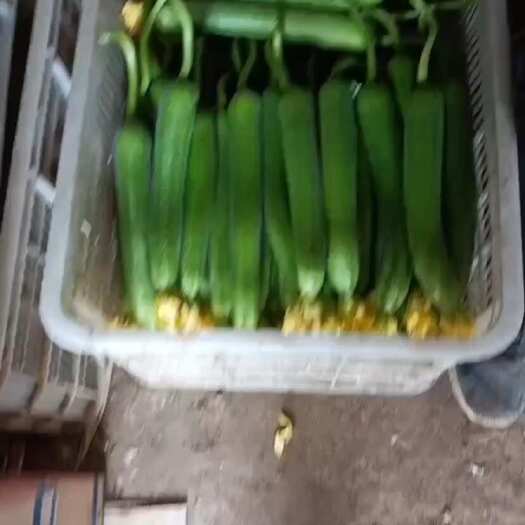  肉丝瓜