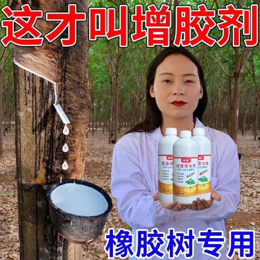 橡胶树增产剂刺激酶活性多出胶防治死皮云南海南橡胶树增产营养液