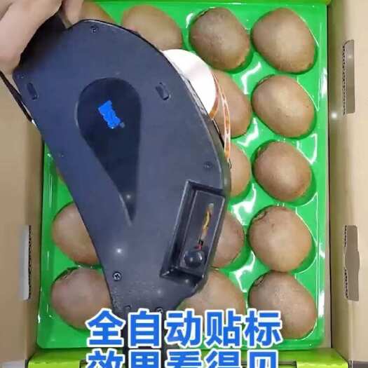 广州电动手持贴标机 水果、商标、外箱