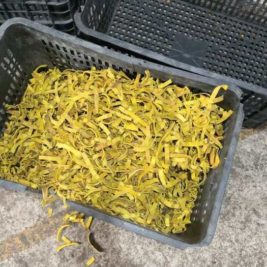  黄柏