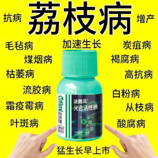栾川县荔枝病荃管荔枝专用杀菌剂霜霉病疫病酸腐炭疽病白粉病快速杀菌药
