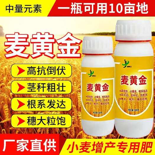 栾川县小麦增产专用叶面肥控旺高产分蘖抗倒伏缩节籽粒饱满灌浆肥麦黄金