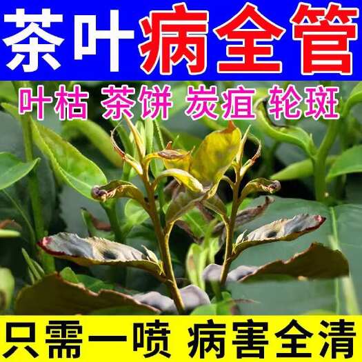 茶树专用杀菌剂茶树病防治软腐病炭疽病茶饼病叶枯病叶霉病黑斑病