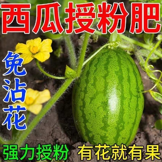栾川县西瓜专用授粉药强 效坐果灵西瓜催花保花保果防畸形增产增收水溶