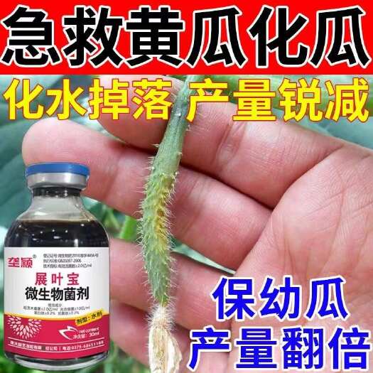 栾川县黄瓜化瓜专用叶面肥黄瓜丝瓜病毒感染化瓜枯萎脱落防落花落果增产