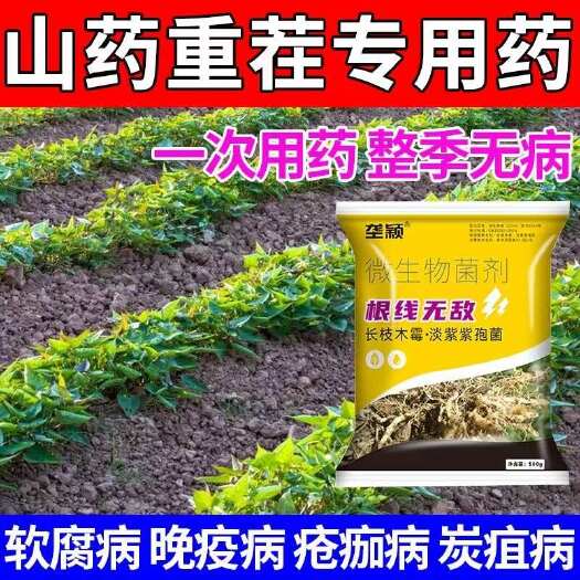 长沙山药根结线虫根线无敌正品灌根药大棚专用根腐病根肿病护根菌剂