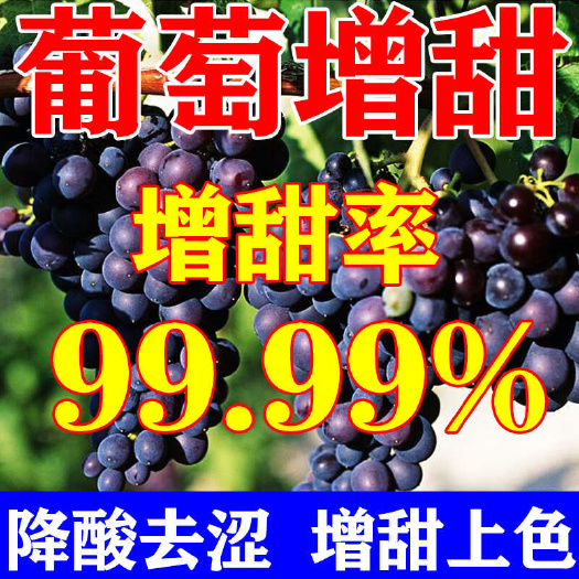 葡萄專用增甜劑增甜著色增糖素上色均勻膨果劑降酸增甜去澀防裂肥