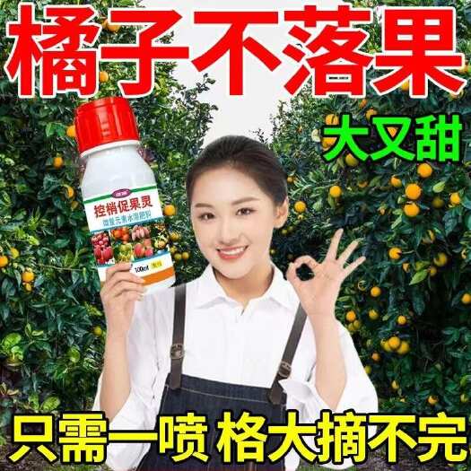 栾川县橘子坐果灵果树无需沾花柚子树保花保果防落果防裂授粉剂专用肥料