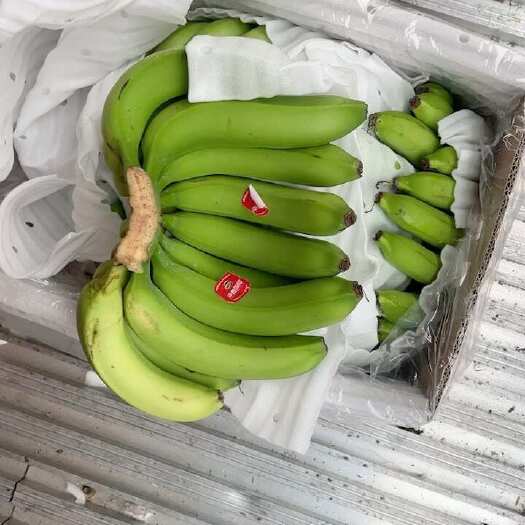 上海生蕉继续到货三天后出库有需要的老板提前联系保质保量全国发货