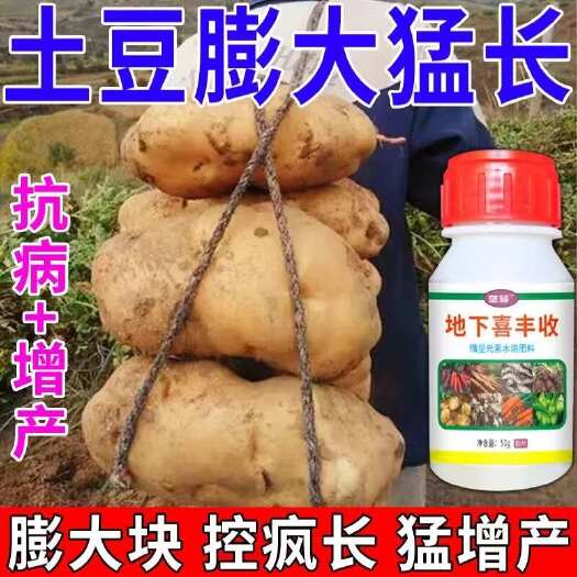 栾川县土豆地下猛长芋头土豆快速膨大剂专用肥生根壮苗控上促下正品水溶