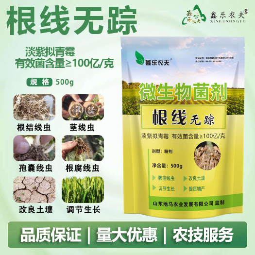 根线无踪淡紫拟青霉专治根结线虫克星虫卵成虫通杀生物农药
