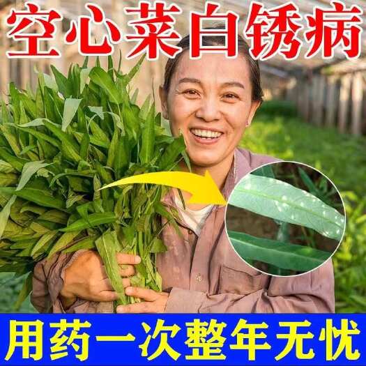 栾川县空心菜专用蔬乐丰叶面肥快速生长生根壮苗蔬菜通用型提质增产肥