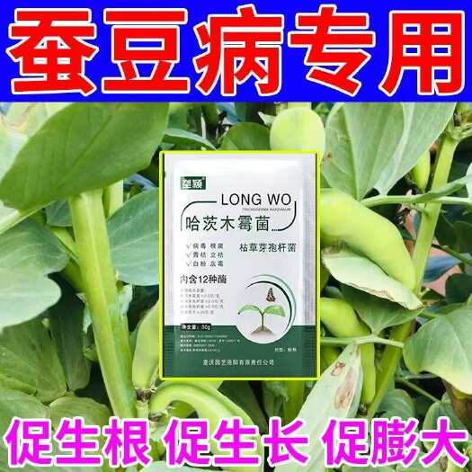 栾川县蚕豆病专用哈茨木霉菌蚕豆立枯根腐白粉病锈病赤斑病病毒病枯萎病