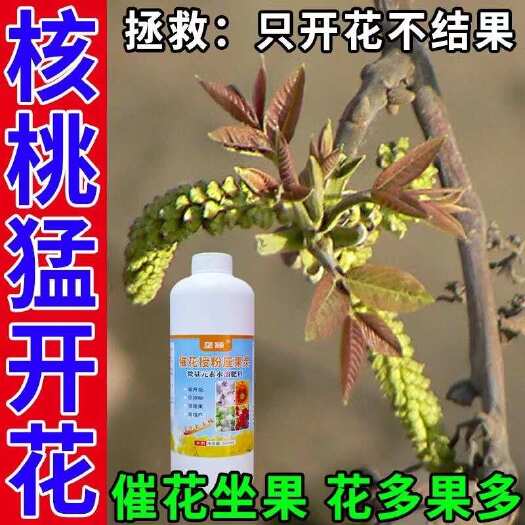 栾川县核桃树专用授粉药免沾花强力催花猛座果防落素促芽素保花保果肥料