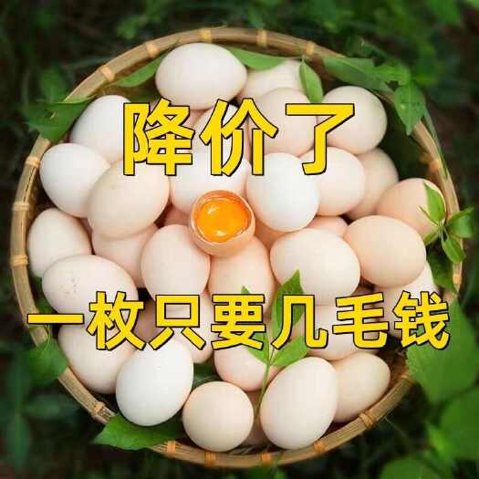 铜陵【新店活动】纯正农家散养土鸡蛋柴鸡蛋五谷营养批发新鲜鸡蛋
