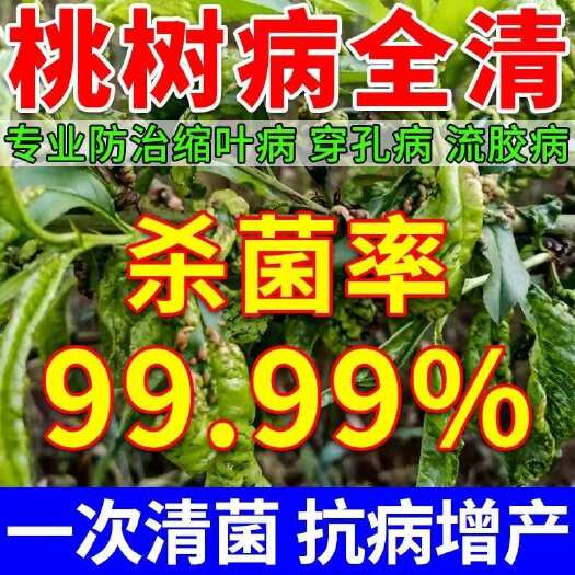 栾川县桃树病菌清桃病清专用剂卷叶炭疽疮痂穿孔流胶病水溶肥保花保果