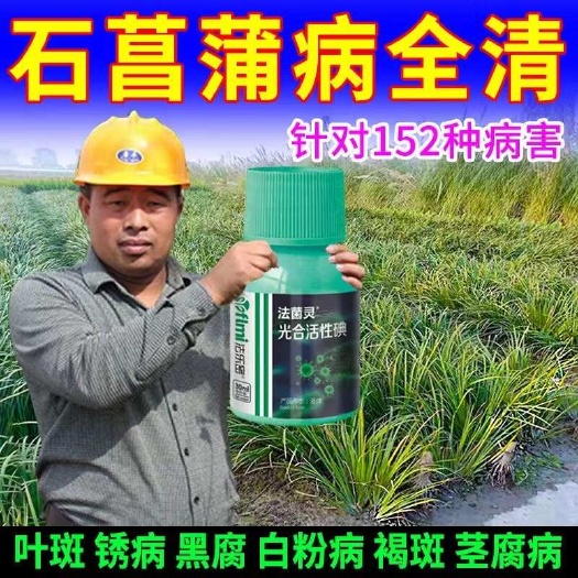 栾川县石菖蒲专用石菖蒲病全治叶斑病黑腐炭疽病枯病细菌性疫病白粉病