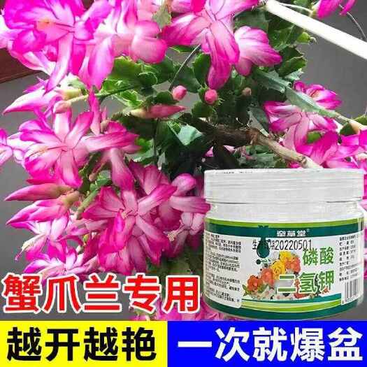 栾川县磷酸二氢钾蟹爪兰专用专冶不开花掉花苞干瘪催花苞促开花植物爆花