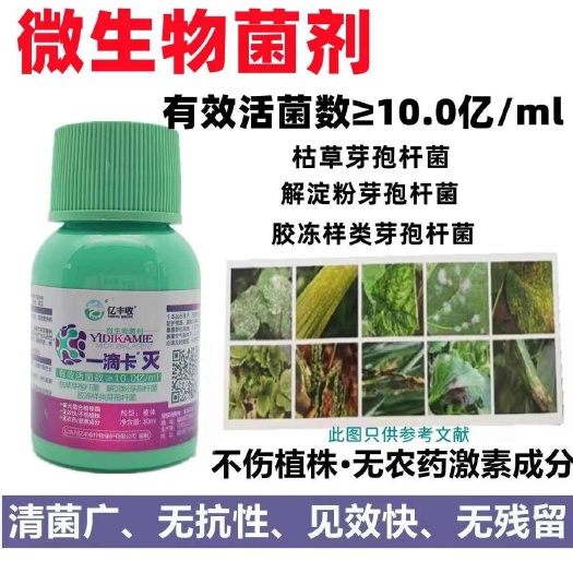 栾川县微生物菌剂真菌细菌病毒病白粉霜霉病炭疽叶斑灰霉