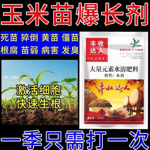 玉米苗红叶病玉米苗发黄不长黄叶病苗枯病白叶病苗期叶面肥农用