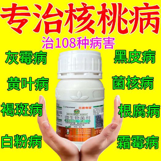 核桃樹病專用黑皮病褐斑病炭疽病黑斑病腐爛病爛果專用葉面肥