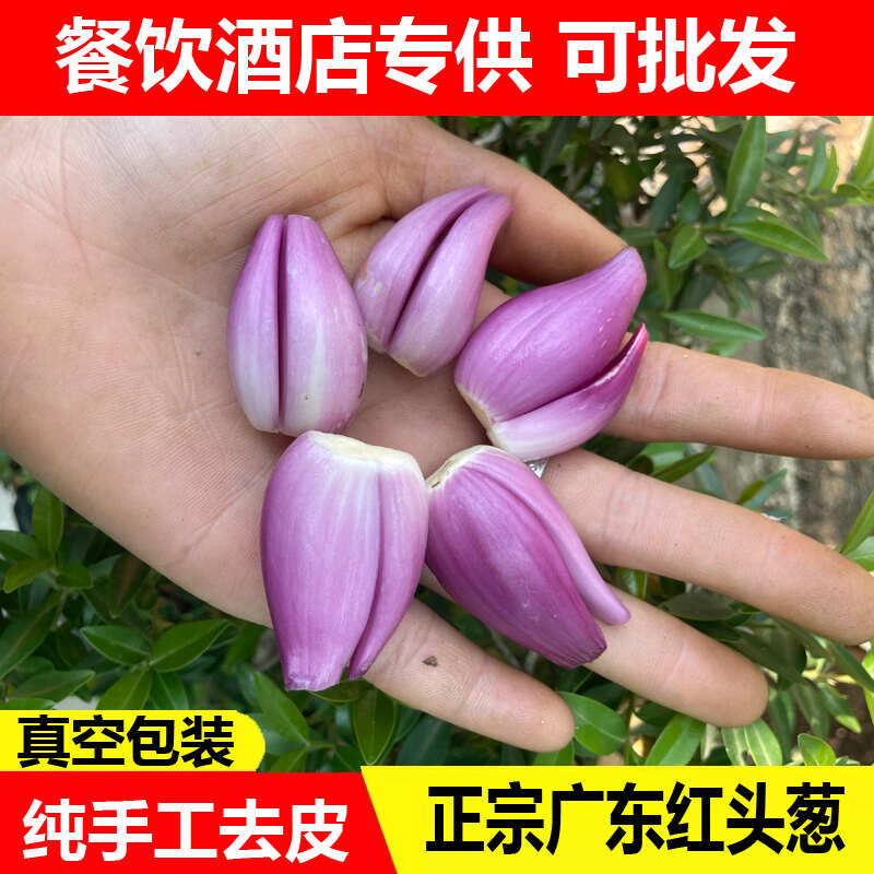 广东新鲜去皮红葱头手工剥皮红葱头真空包装餐饮店专用香料熬葱油