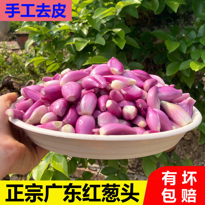 广东新鲜去皮红葱头手工剥皮红葱头真空包装餐饮店专用香料熬葱油