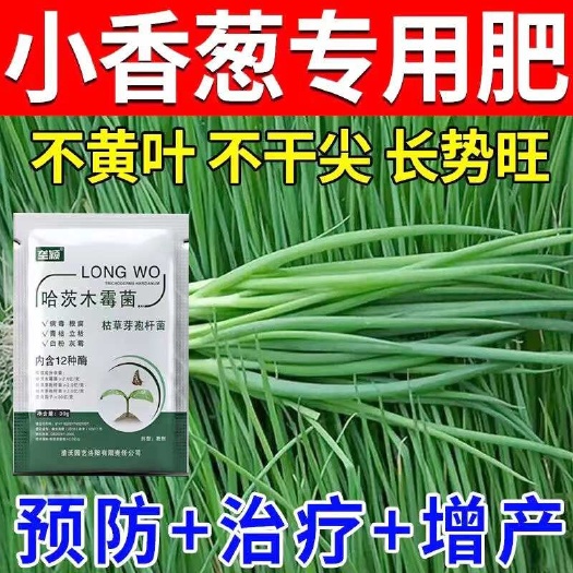 栾川县小葱香葱专用大葱病全治叶面肥黄斑灰霉黄叶干尖尖枯灵农用