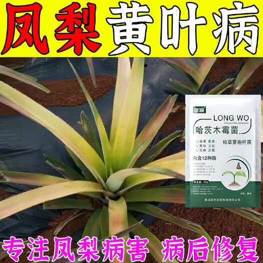栾川县凤梨专用药凤梨病全治心腐病凋萎病曲颈病绿萎病通用型生物肥