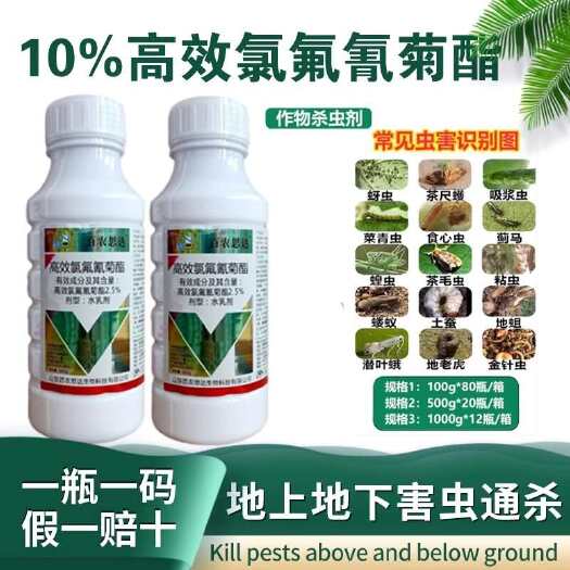 南宁厂家直销一件批发百农思达 2.5%高效氯氟氰菊酯菜青虫杀虫剂