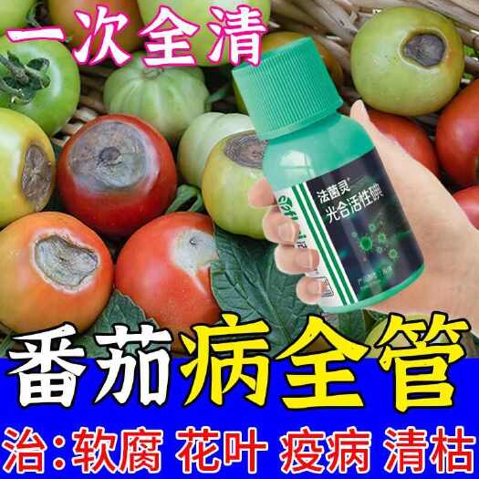 栾川县番茄病西红柿病菌清灰霉炭疽专用番茄专用杀菌剂专用药病全治全管