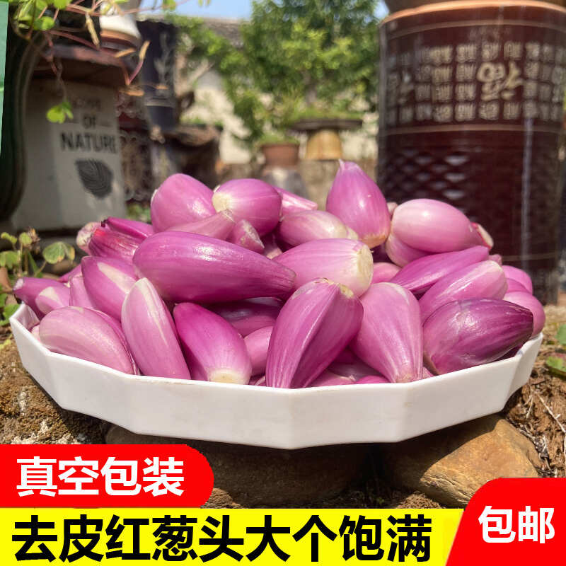 广东新鲜去皮红葱头手工剥皮红葱头真空包装餐饮店专用香料熬葱油