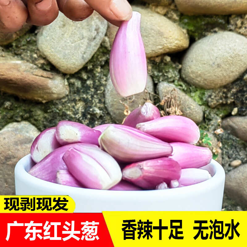 广东新鲜去皮红葱头手工剥皮红葱头真空包装餐饮店专用香料熬葱油