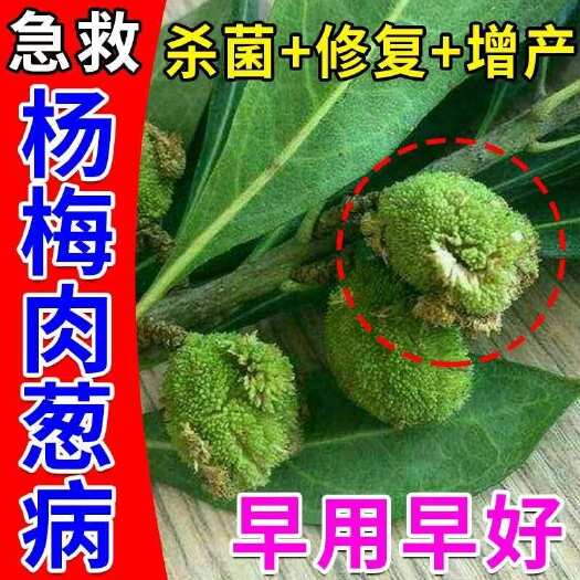栾川县杨梅肉葱病叶枯枝腐锈病虫害快速除菌专用哈茨木霉菌微生物叶面肥